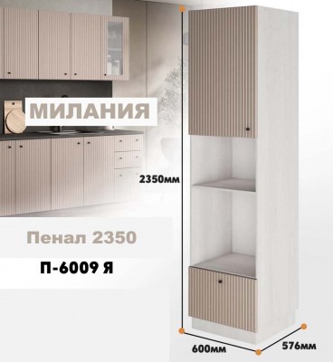 milaniia_p_6009 ia_4